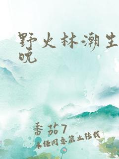 野火林潮生林晚晚