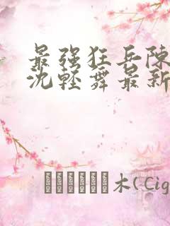 最强狂兵陈六合沈轻舞最新章节