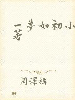 一梦如初小说原著