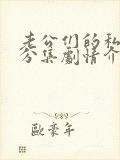 老公们的私房钱分集剧情介绍