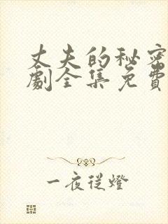 丈夫的秘密电视剧全集免费观看