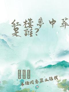 红楼梦中葬花的是谁?