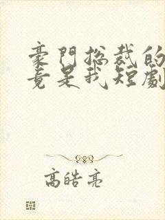 豪门总裁的老婆竟是我短剧免费观看