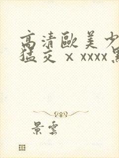 高清欧美少妇性猛交ⅹxxxx黑人猛交