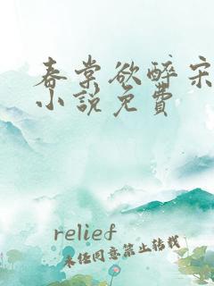 春棠欲醉宋棠宁小说免费
