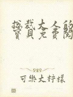总裁大人的私有宝贝免费阅读