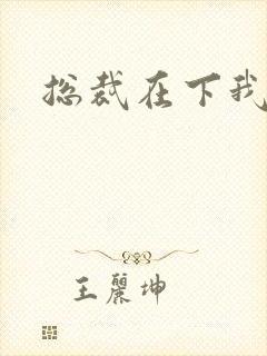 总裁在下我在上