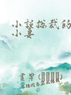 小说总裁的恶魔小妻