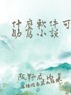 什么软件可以辅助写小说