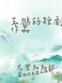 王鹏的短剧全部作品