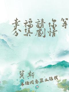 幸福请你等等我分集剧情