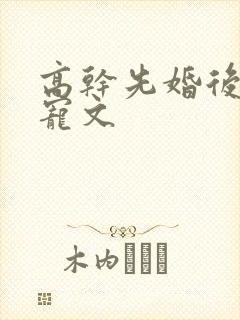 高干先婚后爱甜宠文
