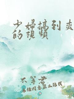 少妇搞到爽高潮的视频