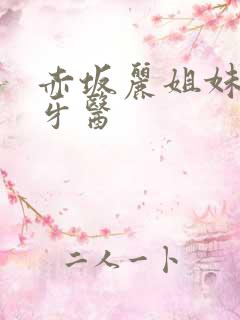 赤坂丽姐妹牙医牙医