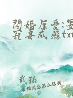 闪婚厚爱:墨少宠妻成瘾txt