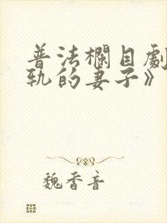 普法栏目剧《出轨的妻子》