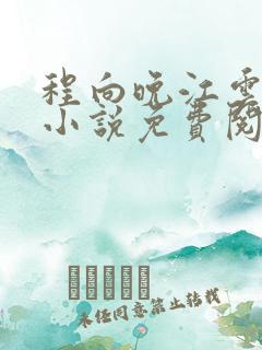 程向晚江云舟的小说免费阅读