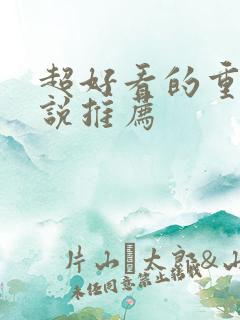 超好看的重生小说推荐