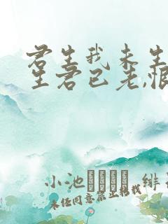 君生我未生,我生君已老,恨不逢君未嫁时