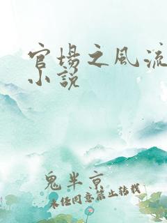 官场之风流往事小说