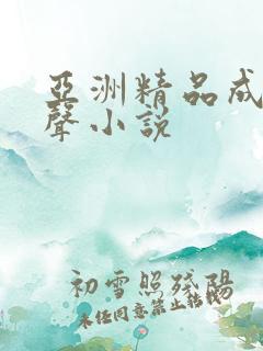 亚洲精品成人有声小说