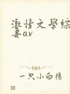 激情文学综合人妻av