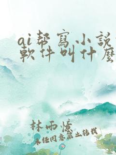 ai帮写小说的软件叫什么