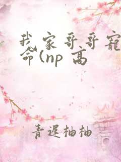 我家哥哥宠妹如命(np 高