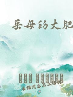 岳母的大肥