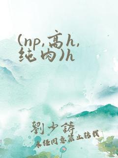 (np,高h,纯肉)h