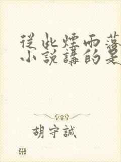 从此烟雨落金城小说讲的是
