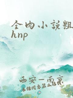 全肉小说粗暴高hnp