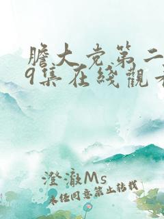 胆大党第二季第9集在线观看