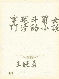 穿越斗罗女主朱竹清的小说