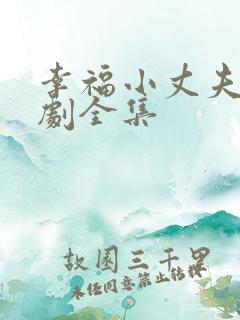 幸福小丈夫电视剧全集