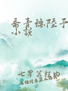 乔青穗陆予深的小说