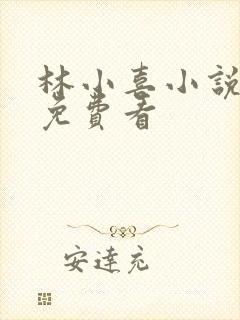 林小喜小说全集免费看