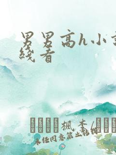 男男高h小说在线看