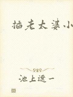 插老太婆小说