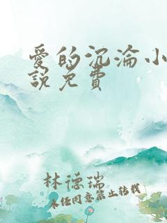 爱的沉沦小风小说免费