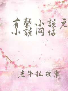 有声小说免费听小说网站