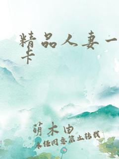 精品人妻一区不卡