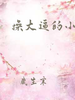 操大逼的小说