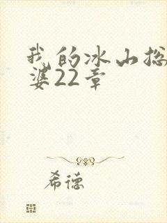 我的冰山总裁老婆22章
