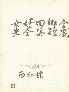 女婿回乡全村风光全集短剧