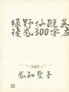 绿野仙踪英语读后感300字左右
