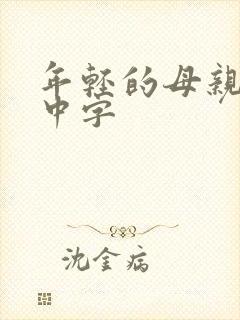 年轻的母亲韩剧中字