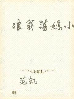 浪翁荡媳小说