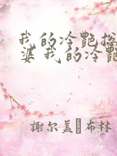 我的冷艳总裁老婆 我的冷艳总裁老婆