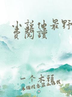 小说他最野了免费阅读